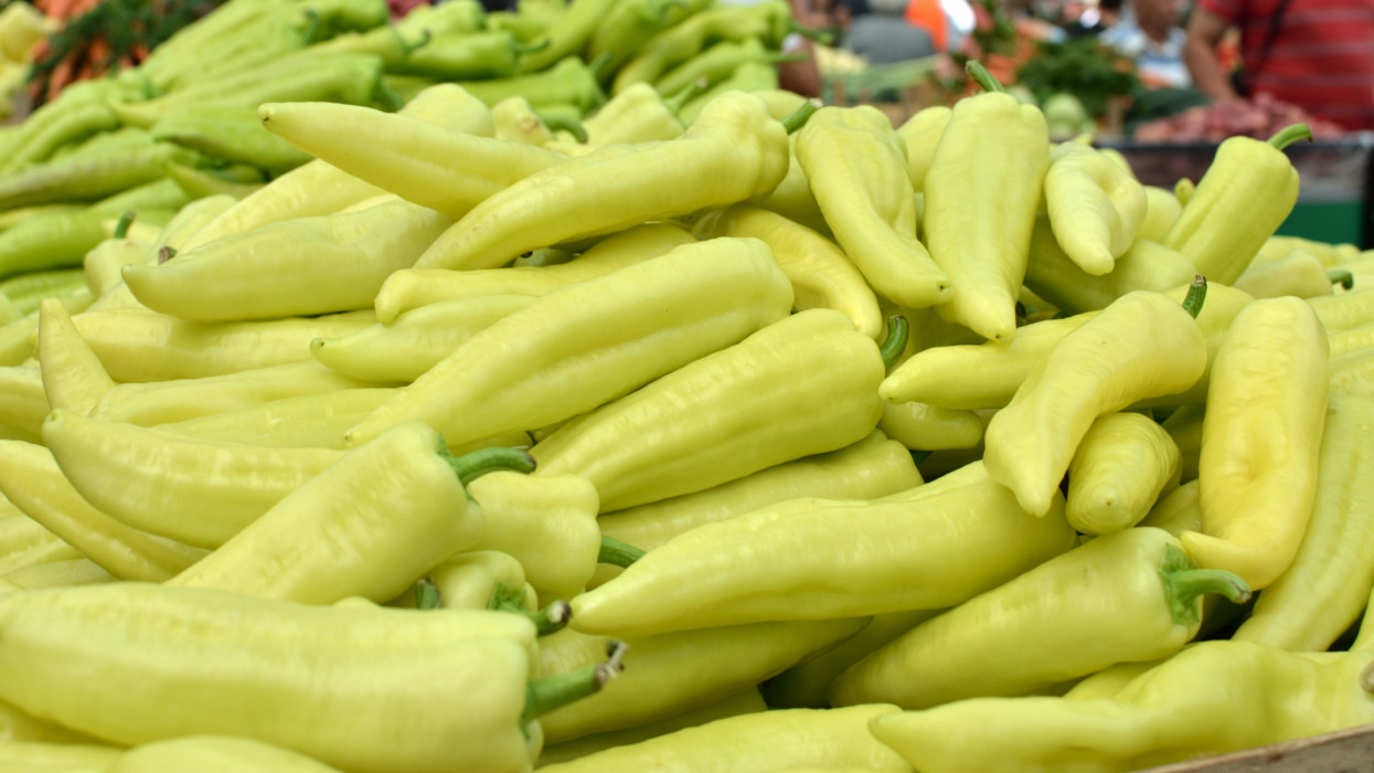 Pile of green peppers on a green market stall