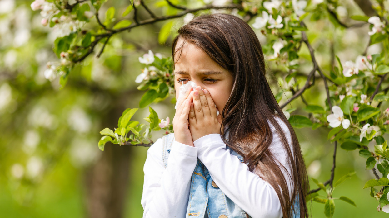 Little girl is blowing her nose near spring tree in bloom