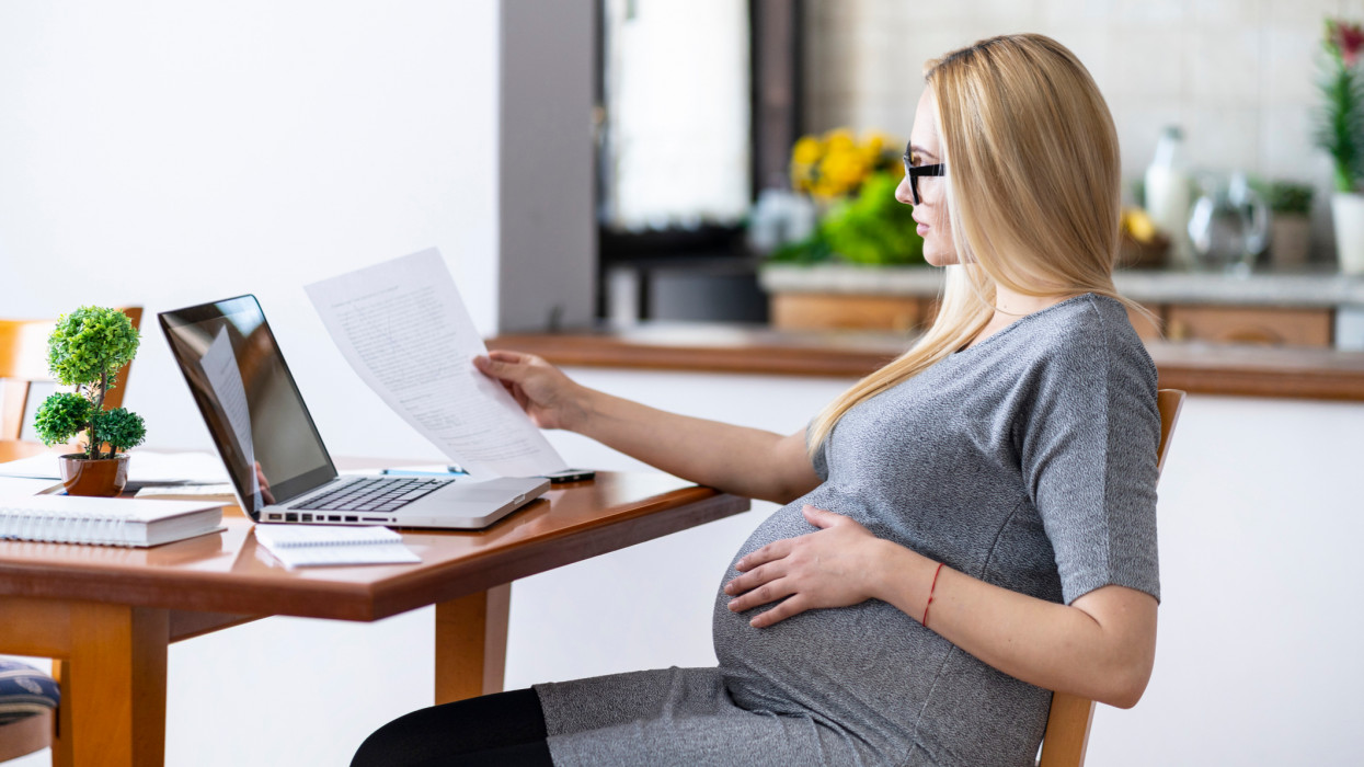 Side view of pregant woman working at home, using laptop.