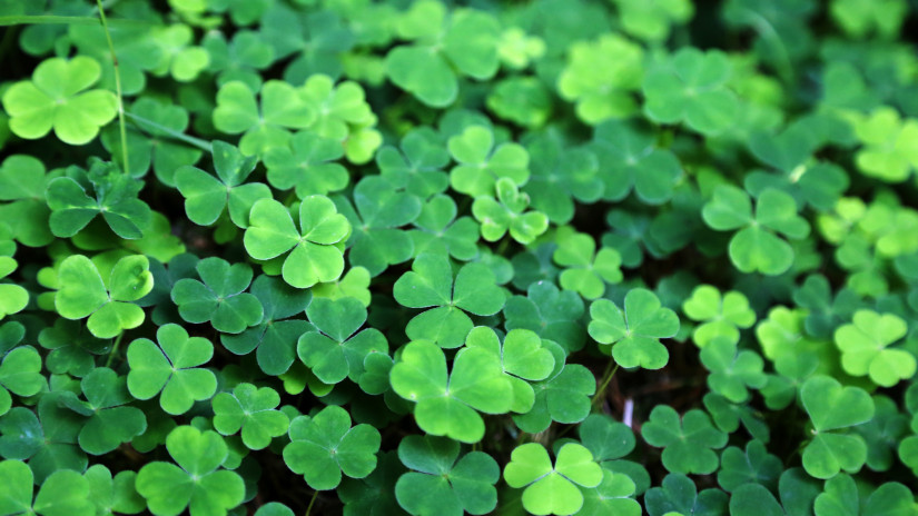 Friss! A Skandináv lottó nyerőszámai a 9. héten 2026-ban