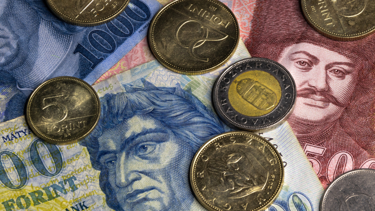 Hungarian currency: Forint banknotes and coins (500 Forint, 1000 Forint, 50 Forint, 20 Forint, 10 Forint, etc.)