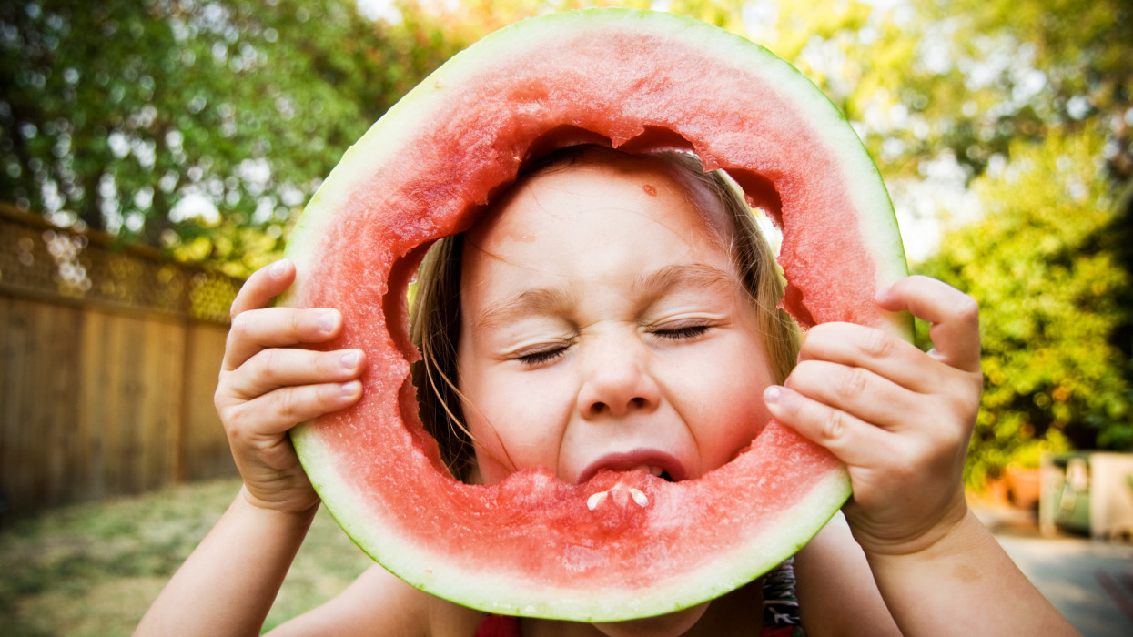A young girl fully committed to blissfully eating a full slice of summer watermelon.