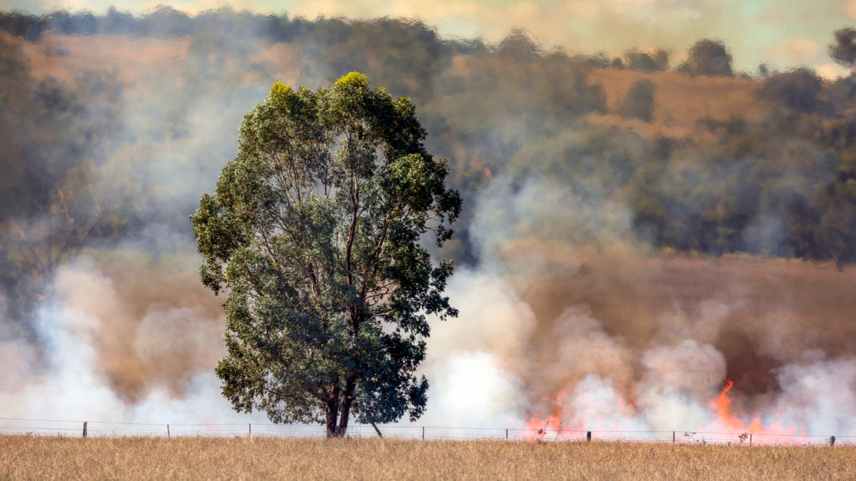 Controlled or prescribed burn. Hazard reduction burning near Yeoval, New South Wales, Australia