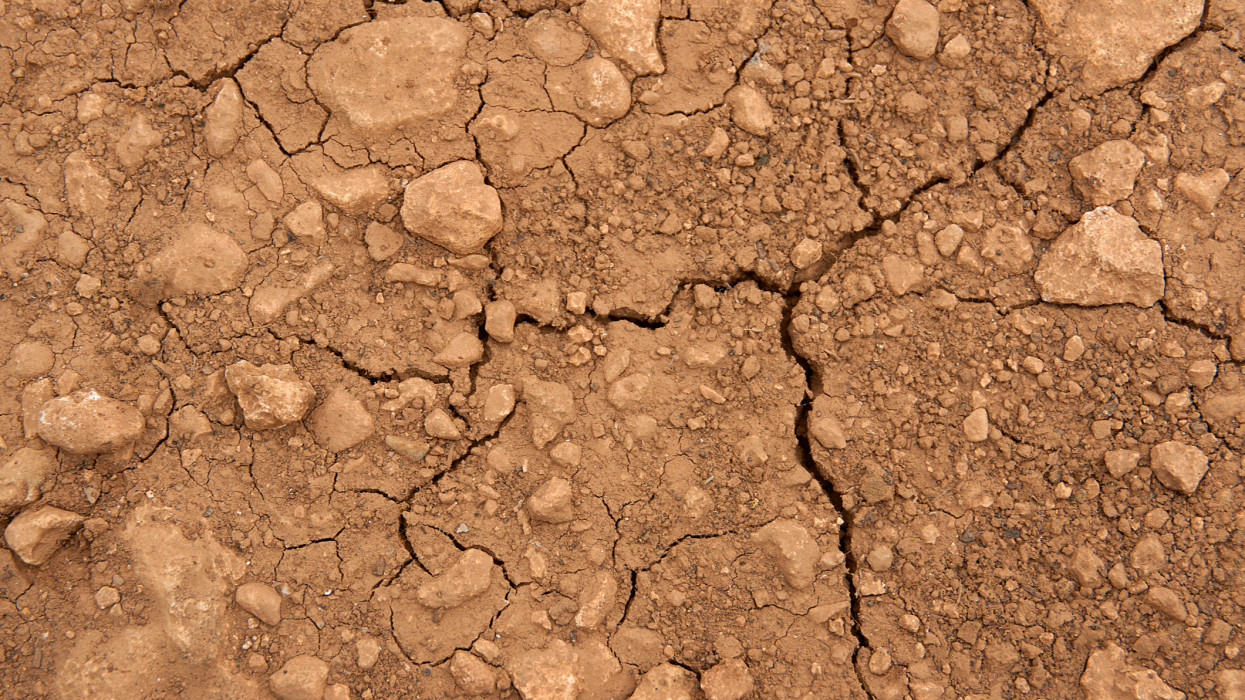 dry earth as background
