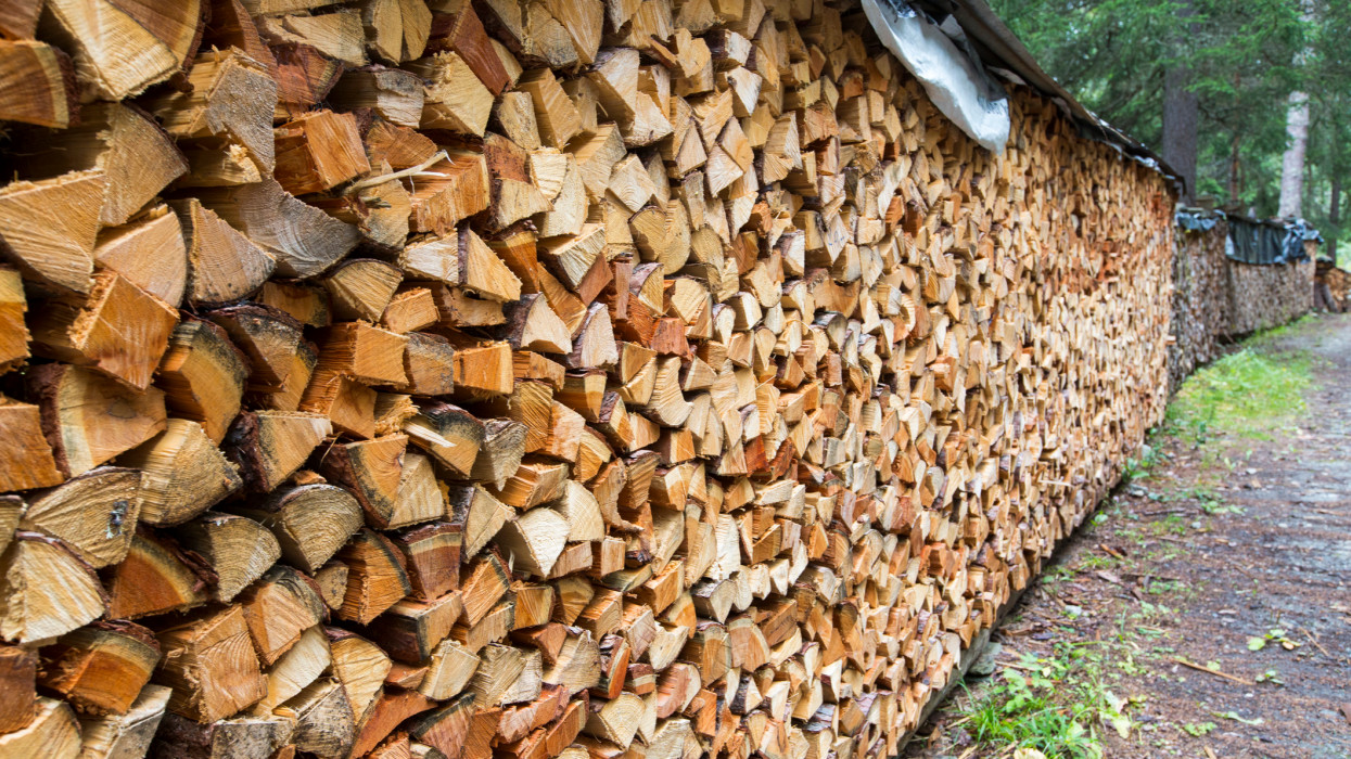 Wood cut for space heating houses, drying in Val Ferret in the Swiss Alps.