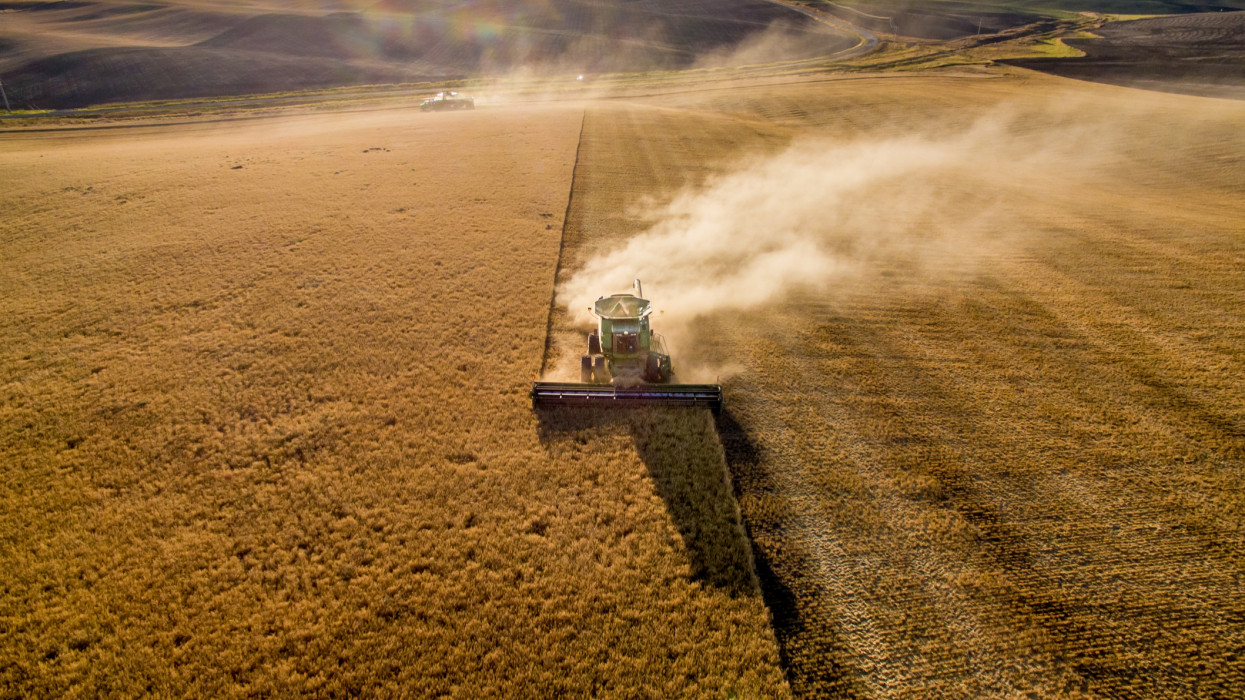 Dust rising from combine during barley harvest in Reardan Washington