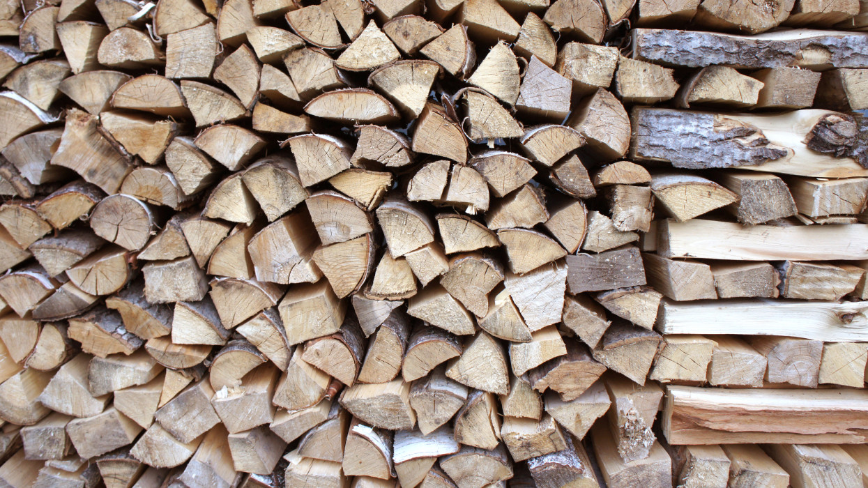 Woodpile background. Wooden logs stacked in woodpile. Photo texture. Beech and Pine chopped wood.