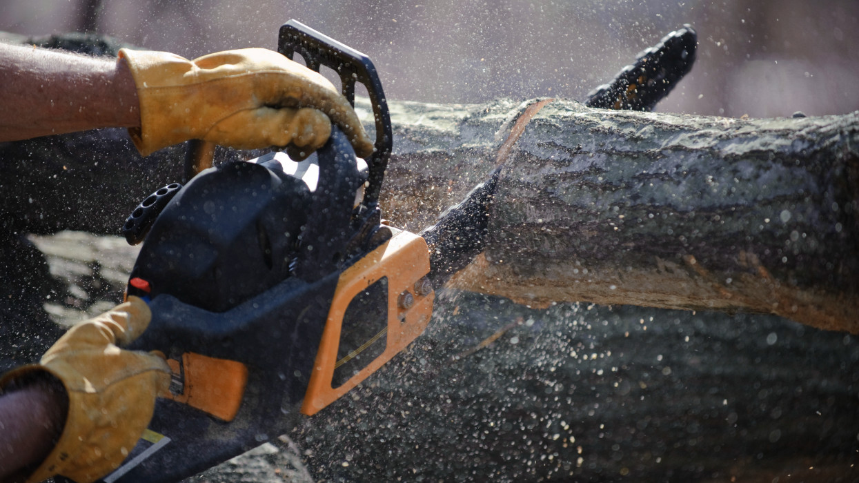 Mans hands hold a chainsaw against a fallen tree as wood chips shoot in all directions.