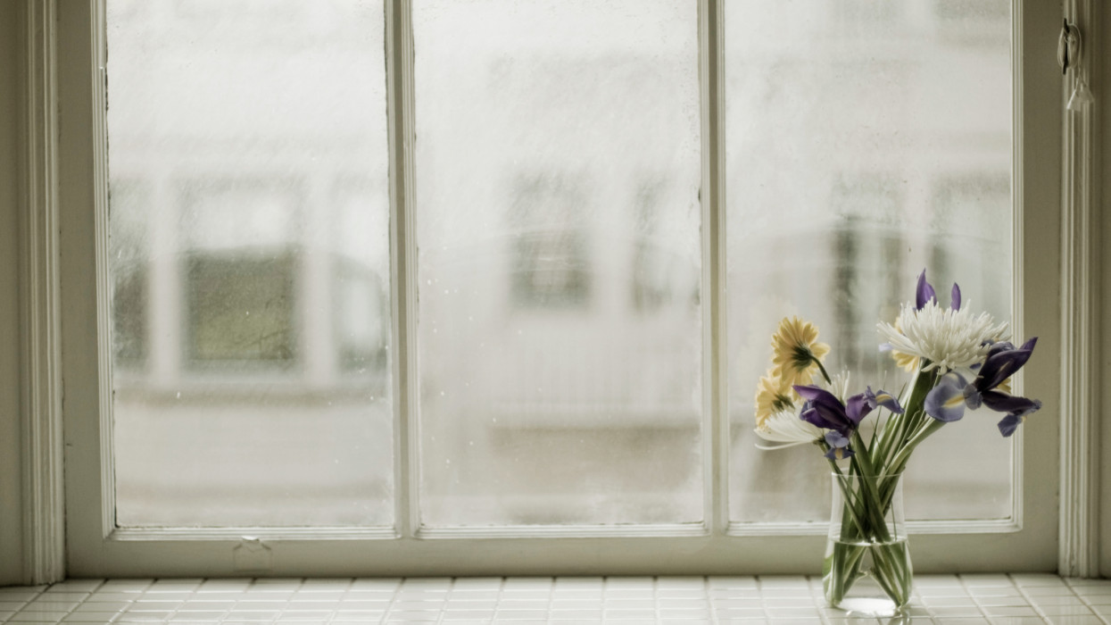 Vased flowers on sill of apartment window, bouquet with some irises and dandelions.
