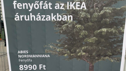 Hivatalos: ennyiért árulja 2022-ben a karácsonyfát az IKEA, december 1-jén indulhat a roham