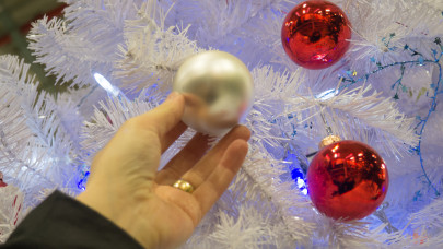 Egyre több magyar mond le a karácsonyfáról: ezeket keresik a méregdrága fenyő helyett