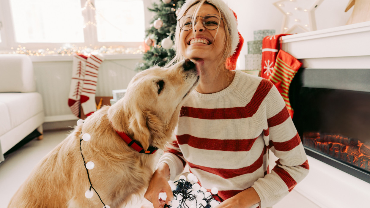 Photo of young woman and her dog enjoying together at home in a Christmas atmosphere