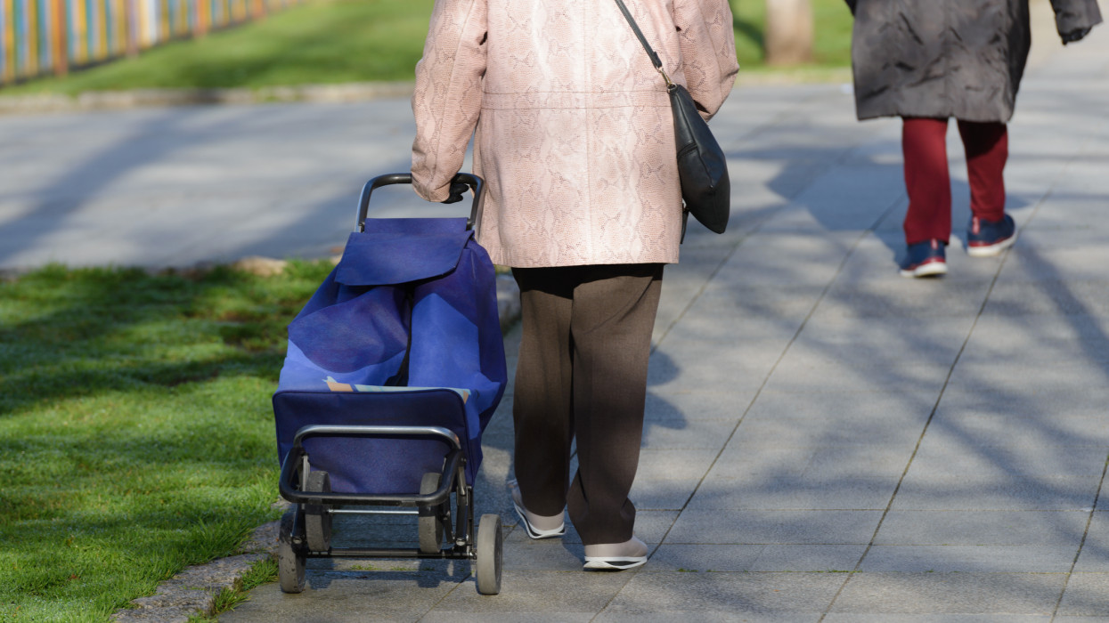image of elderly woman with a bag on wheels on the street, rear view