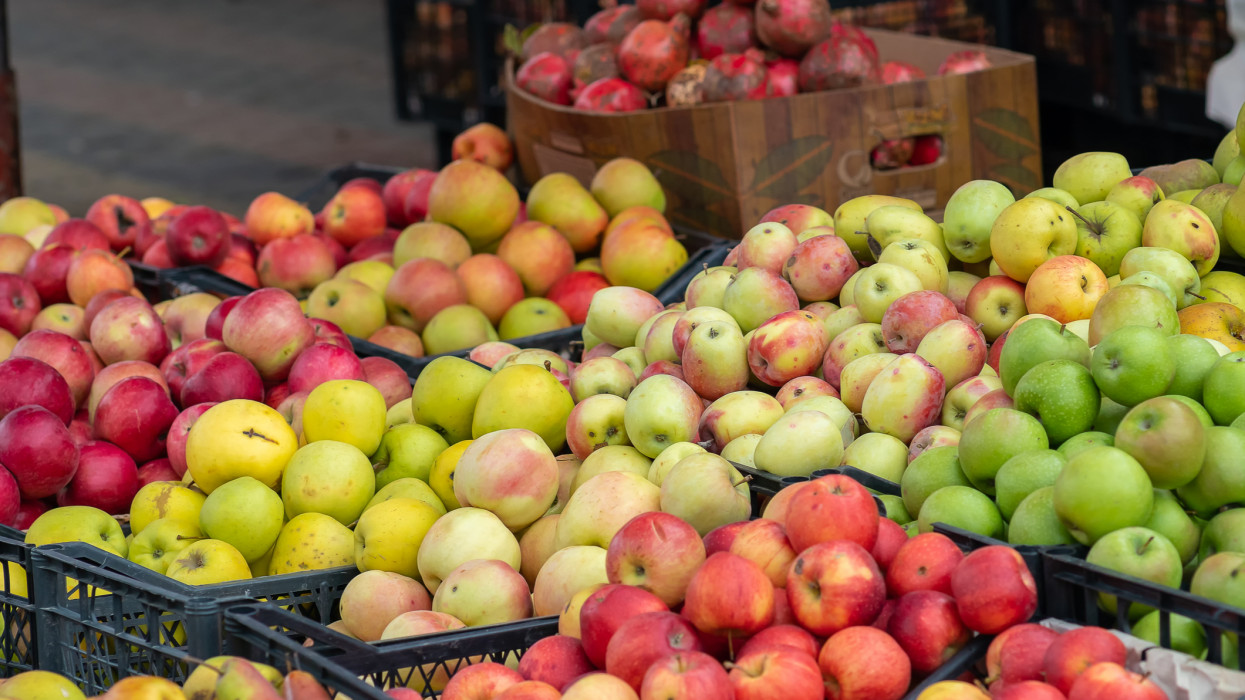Veszélyben a húsvéti menü: horroráron mérik a paradicsomot, tormát, céklát, almát