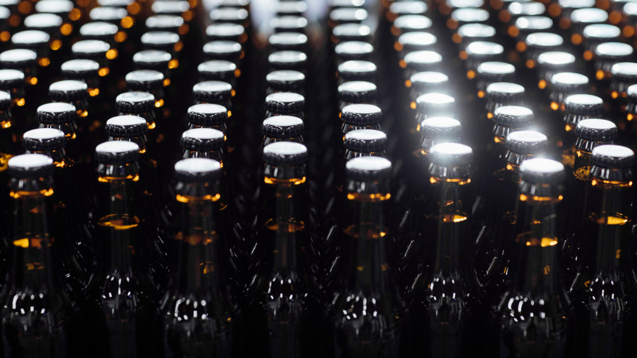 Numerous bottles of artisanal beer ready for labelling and distribution.