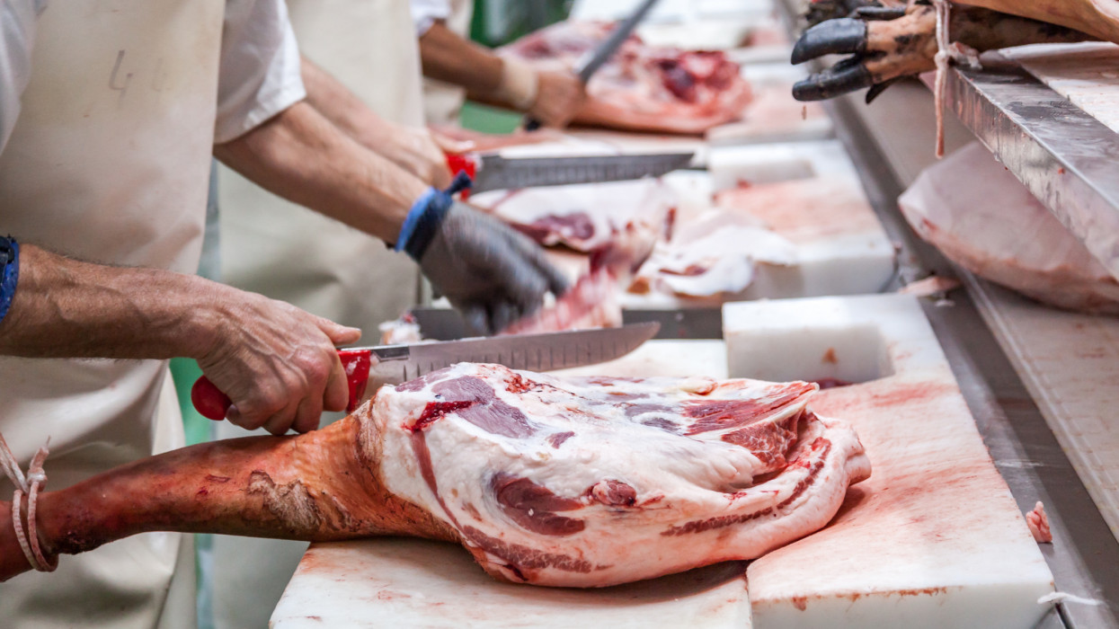 Workers preparing jabugo hams eliminating the excess fat and skin from them, Guijuelo, Castilla y Leon, Spain