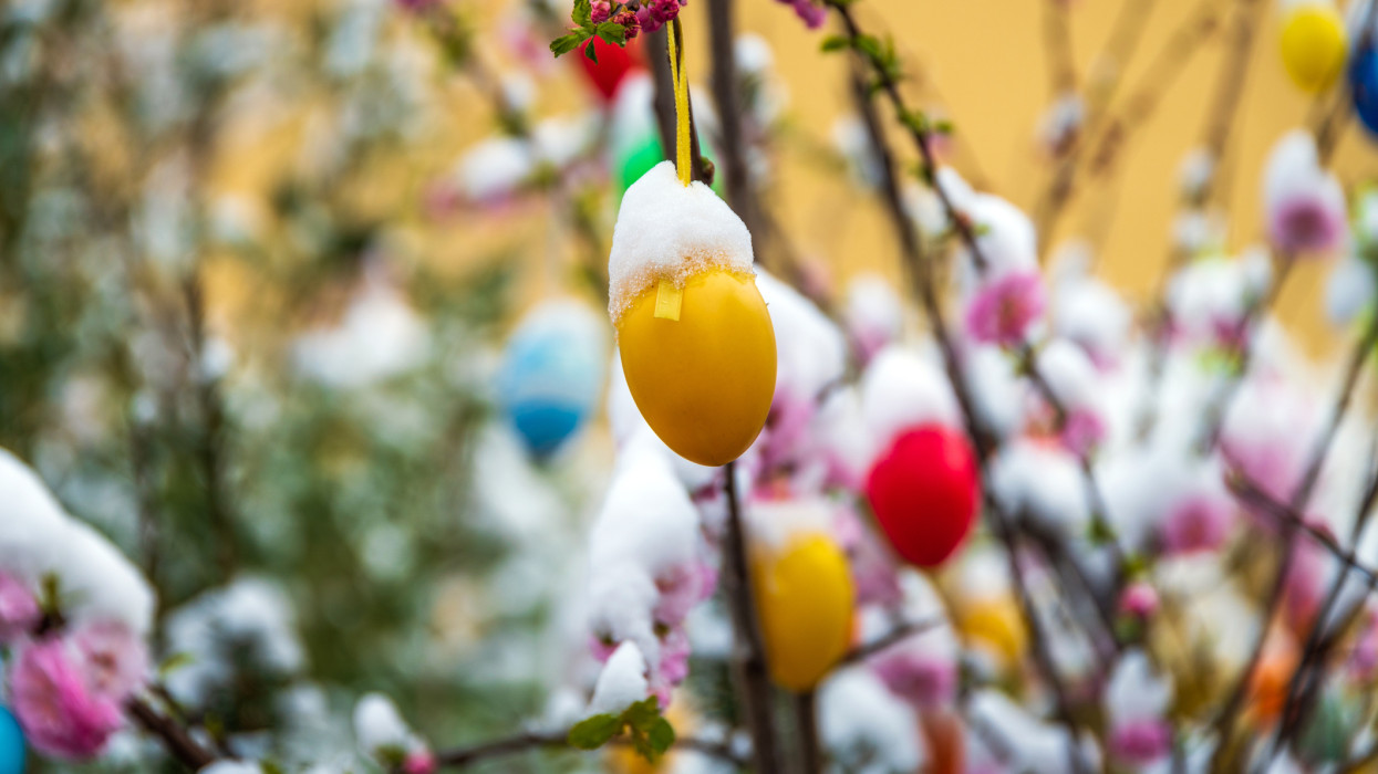 This is a photo of colorful Easter eggs hanging on a tree covered in snow