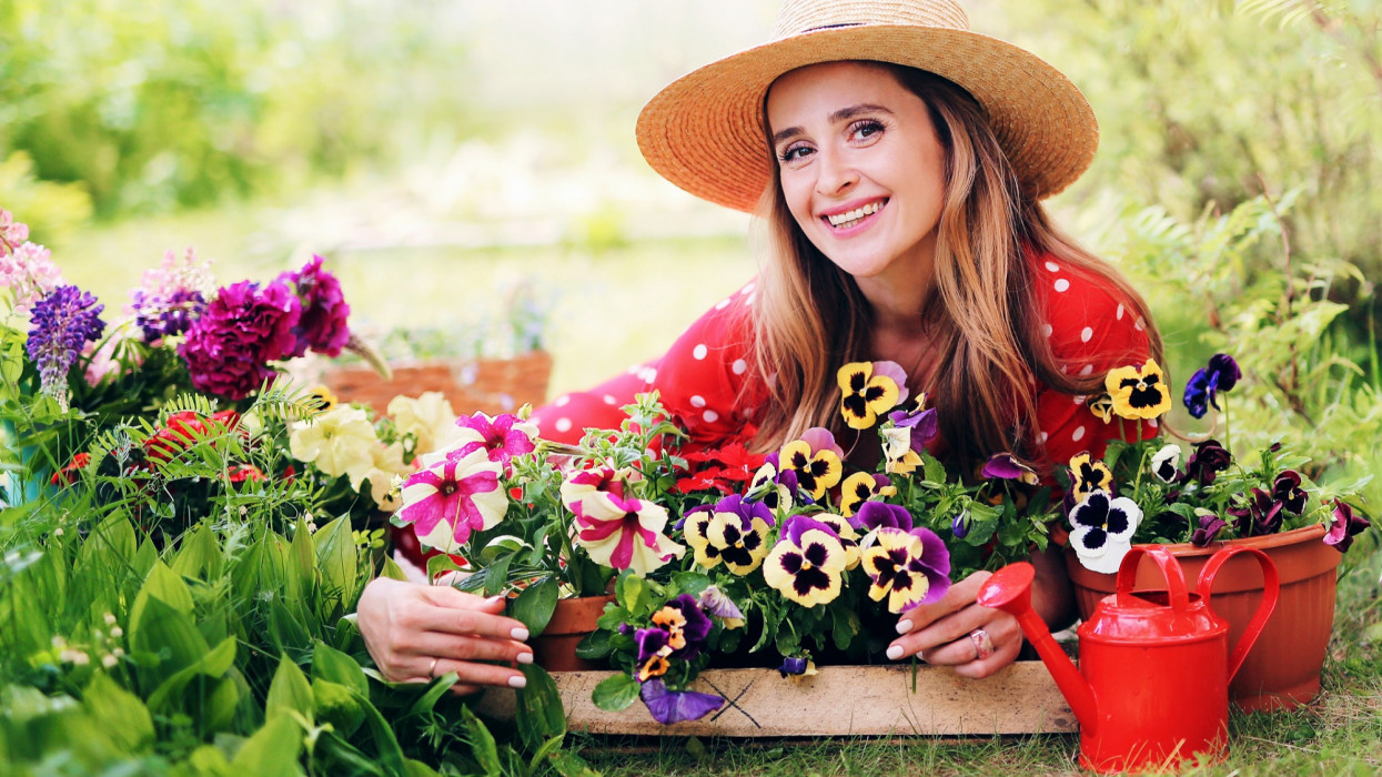 A beautiful smiling gardener girl in a straw hat and a red dress is sitting among the bright flowers of petunia, viola enjoying the summer