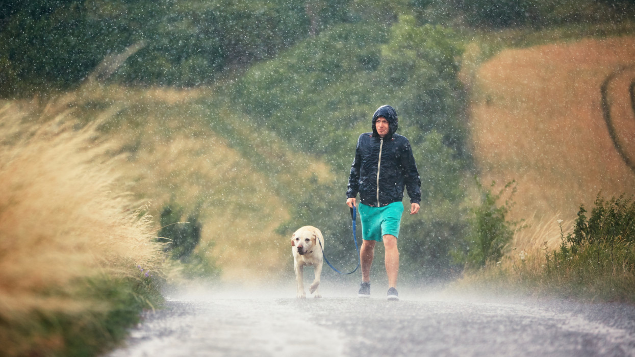 Young man walking with his dog (labrador retriever) in heavy rain on the rural road.