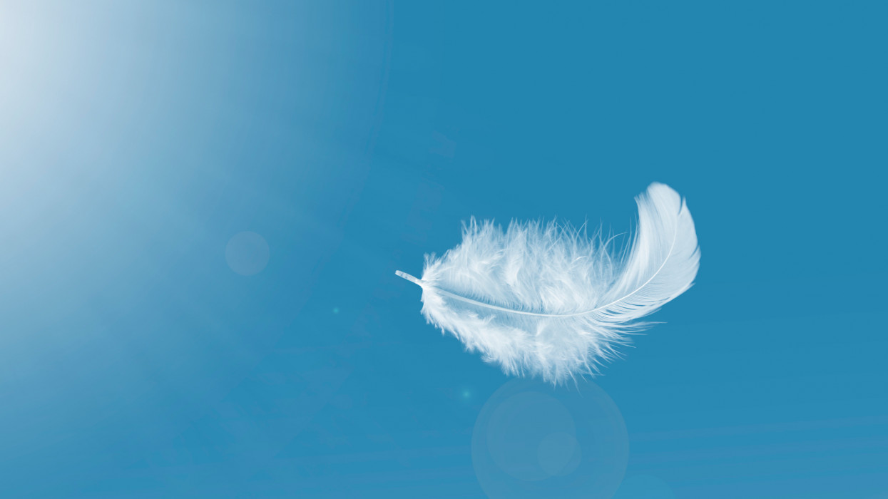Feather abstract freedom concept. Light fluffy white feather floating in a blue sky.