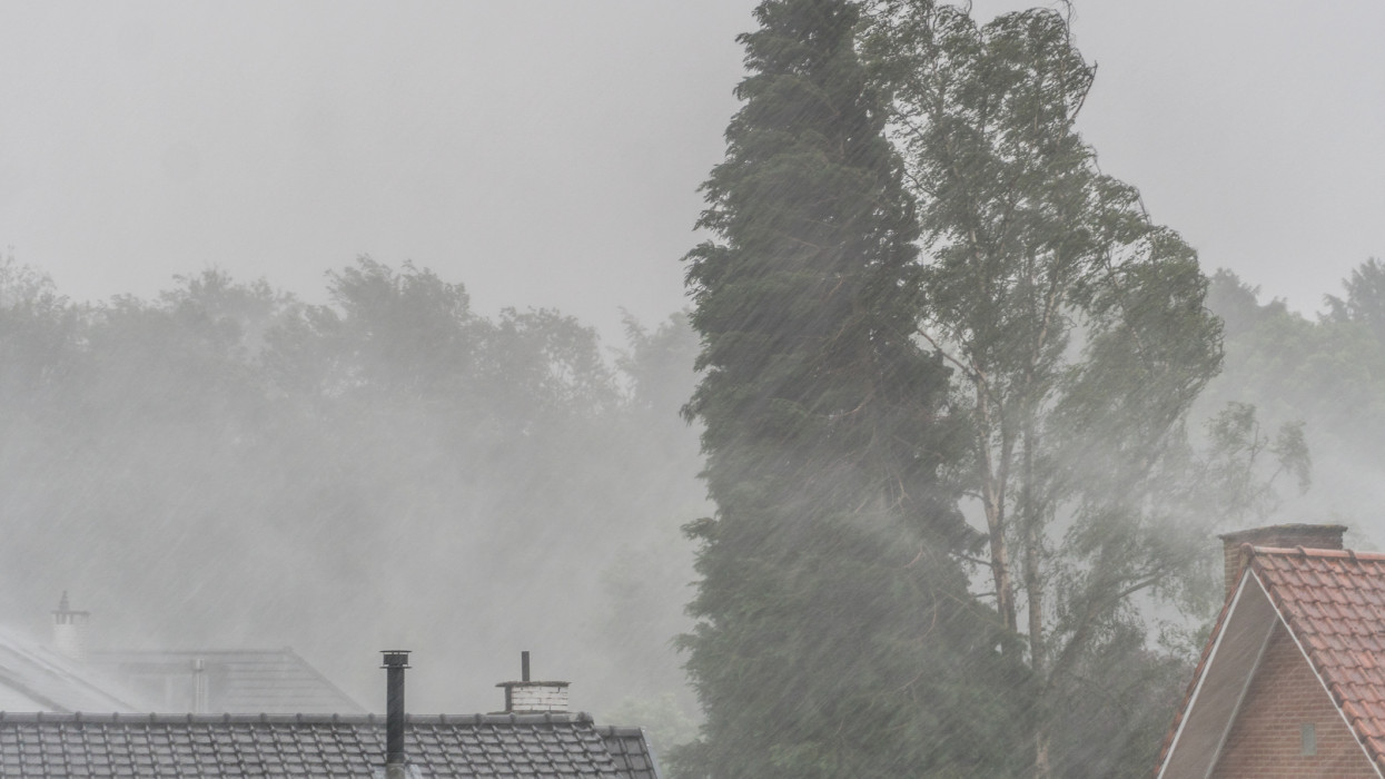Heavy rain in spring, Auderghem, Brussels, Belgium