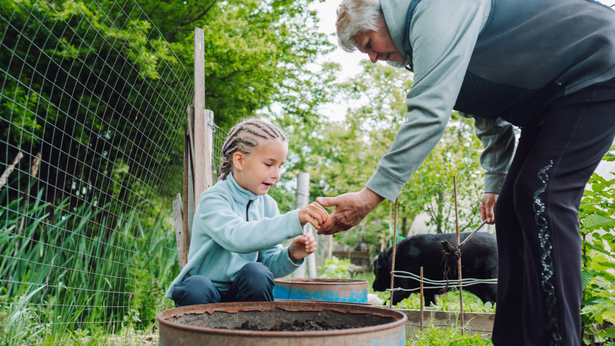 Grandma and granddaughter tilling soil for seed planting