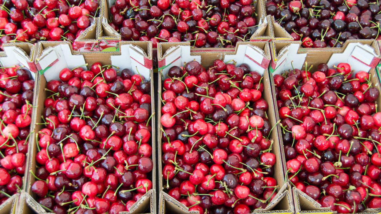 Boxes of cherries at market