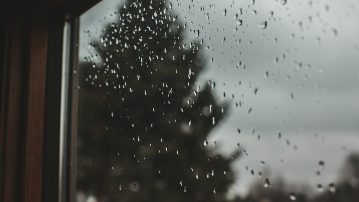 Looking throw a window at a gray overcast sky and a tall dark pine tree as rain drops cling to the window pain.