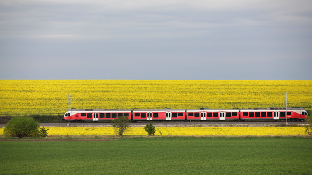 Hungarian red train moving on railway in rapeseed field, spring landscape