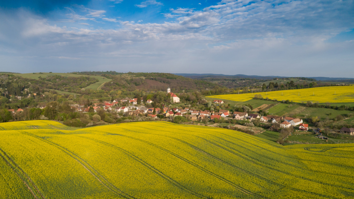 yellow canola field with blue sky village hungary rural aerial
