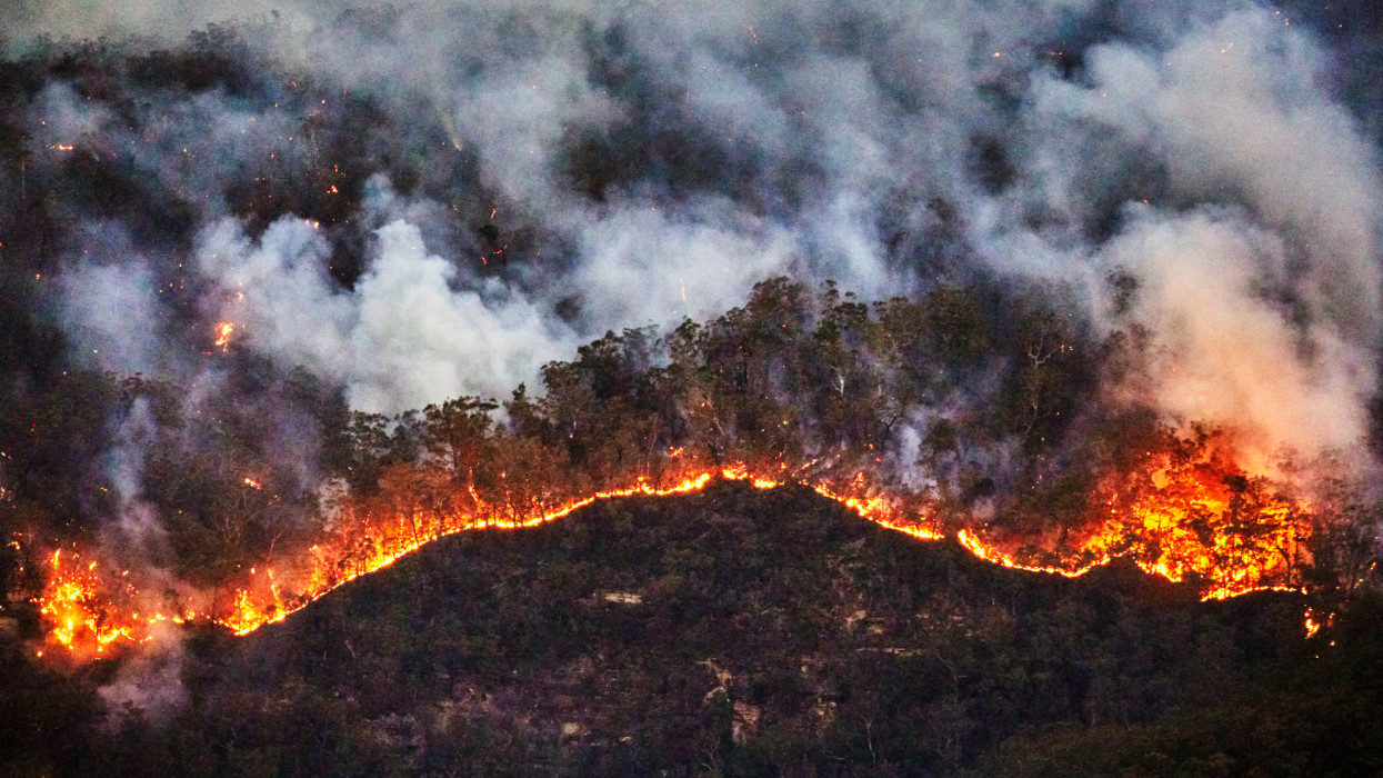 The fire front at night appears as a bright yellow and red jagged line in the dark blue eucalyptus forest in the Jamison Valley. Photograph taken from Echo Point lookout, Katoomba, Blue Mountains