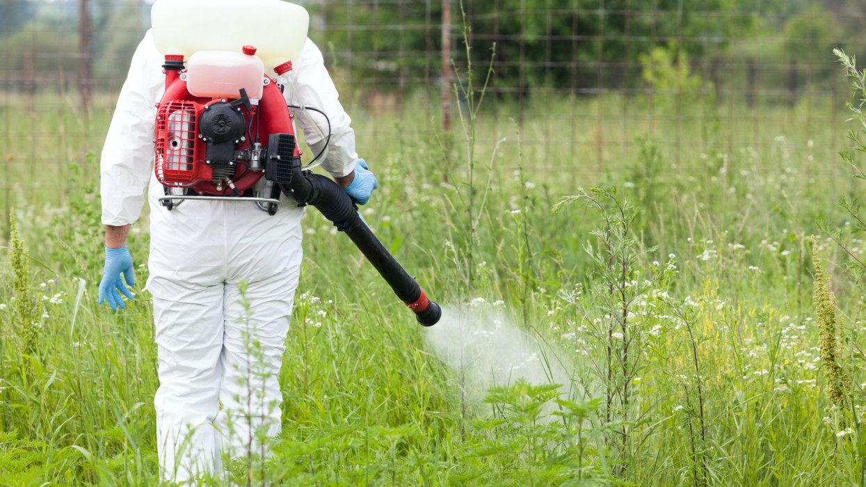 Man in protective workwear spraying herbicide on ambrosia
