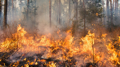 Tüzes pokol a népszerű szigeten: hatalmas a pusztítás, nem tudni, mi van a nyaraló magyarokkal