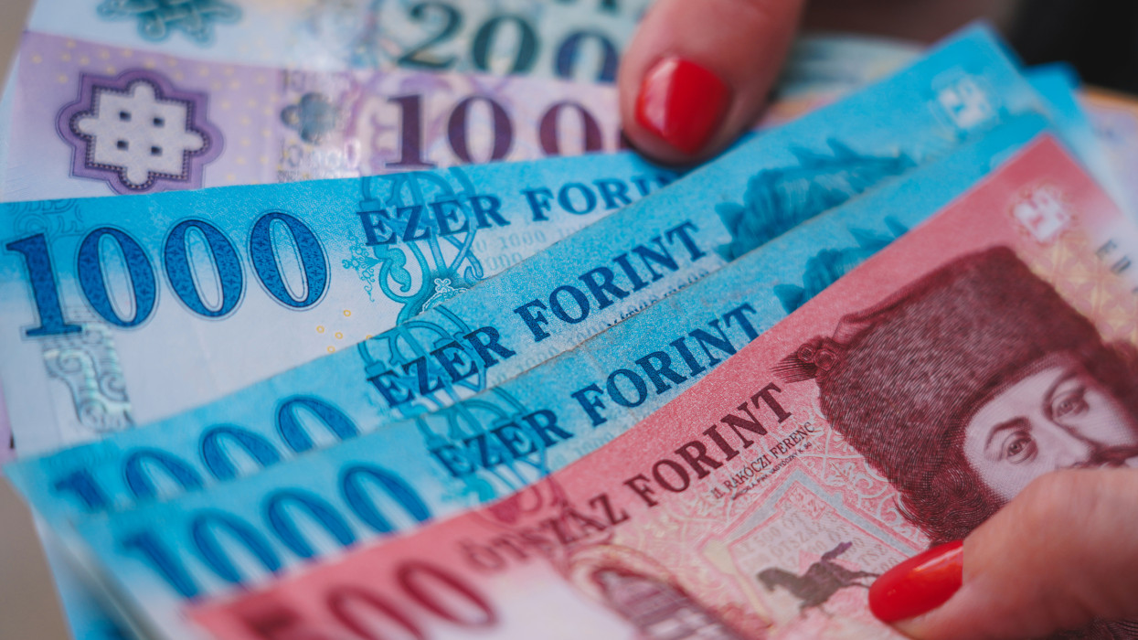 Hungarian Forint Holding In Hand