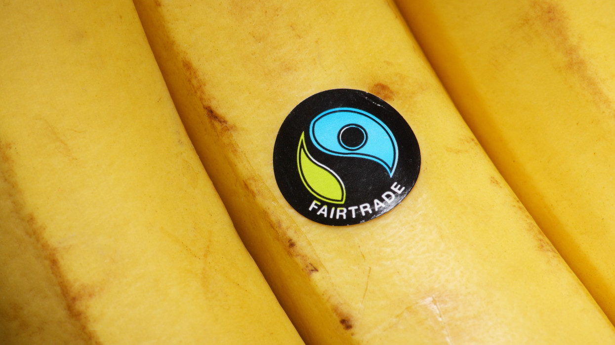 Bracknell, England - May 30, 2014: Bananas bearing the United Kingdom Fairtrade Foundation sticker. Founded in 1992 the organisation promotes global trade with marginalised workers and their communities. The sticker is licensed to products sold in the UK in accordance with internationally agreed Fairtrade standards