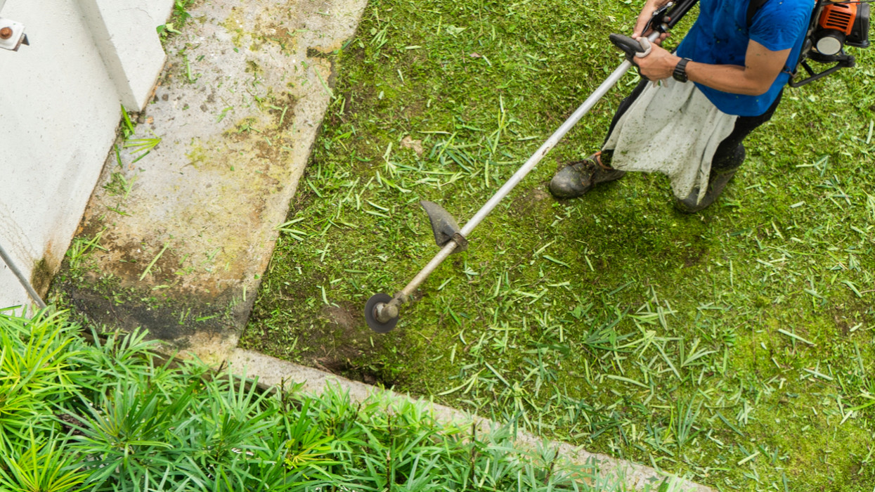 Man mowing grass with a trimmer mow lawnmower