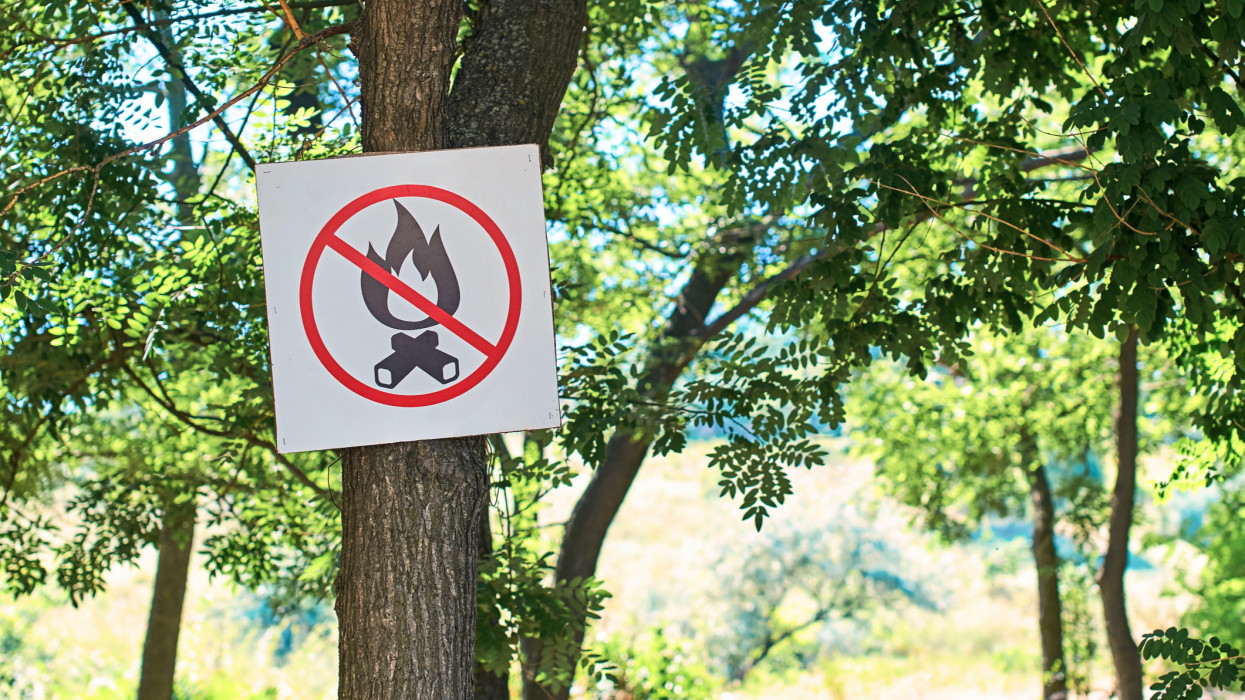 No fire sign in a dry summer forest