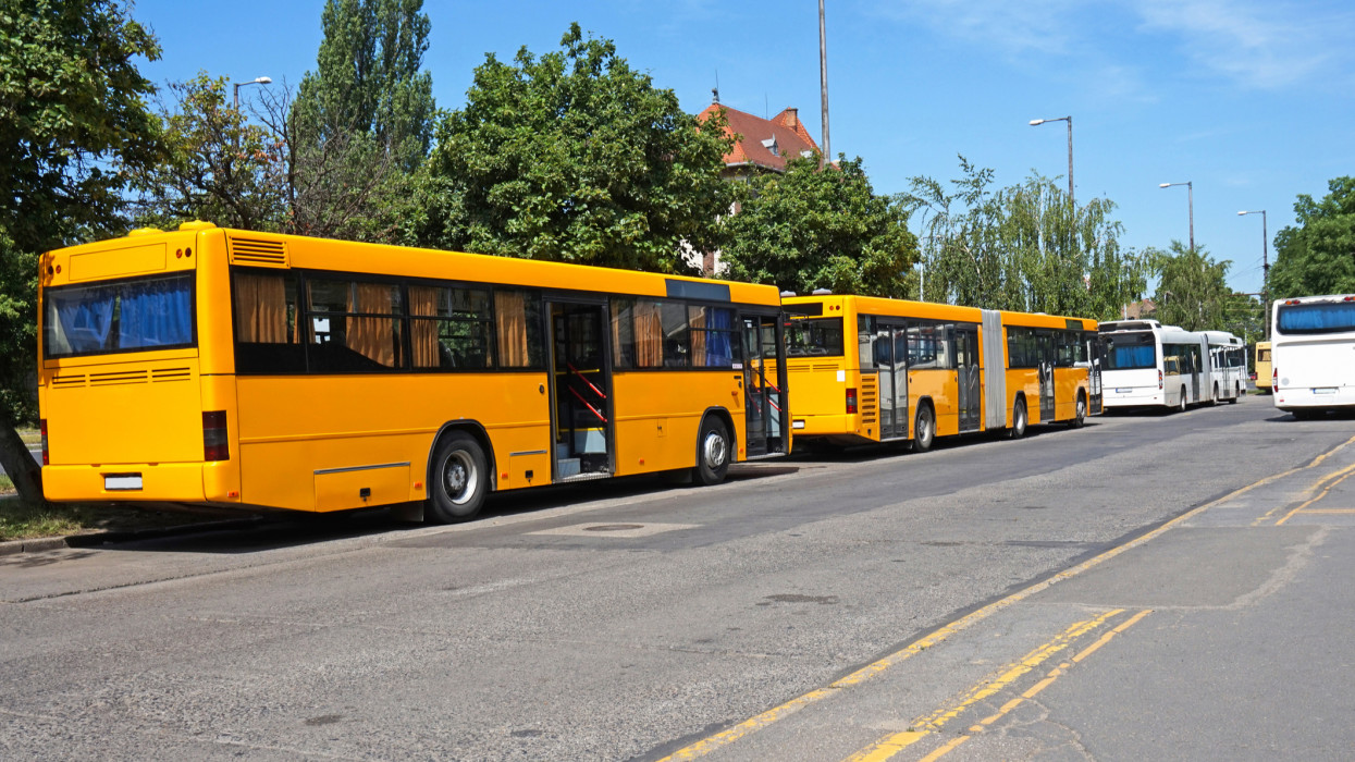 Buses at the terminal