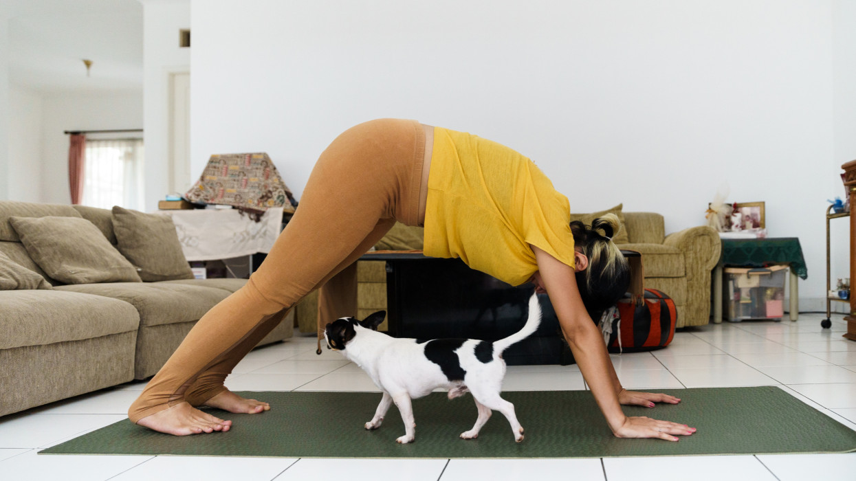 Woman, Housewife, Proud, reliable, fit pregnant workout yoga dog