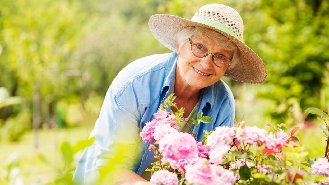 Senior woman with flowers in garden