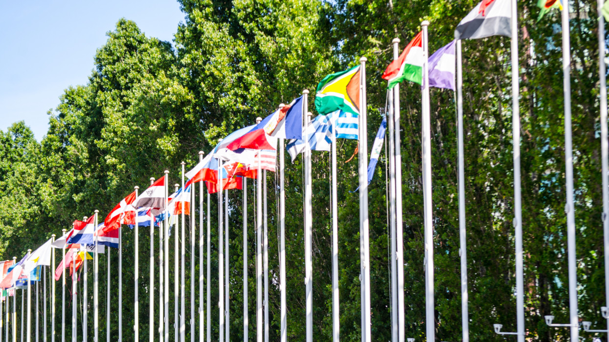 Flags of many countries.