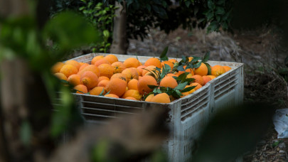 Érik a narancshorror a magyar boltokban: soha nem látott drágulás az üdítőket is durván érintheti