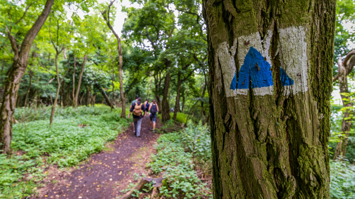 Hiking trail sign on Hill Badacsony, Hungary