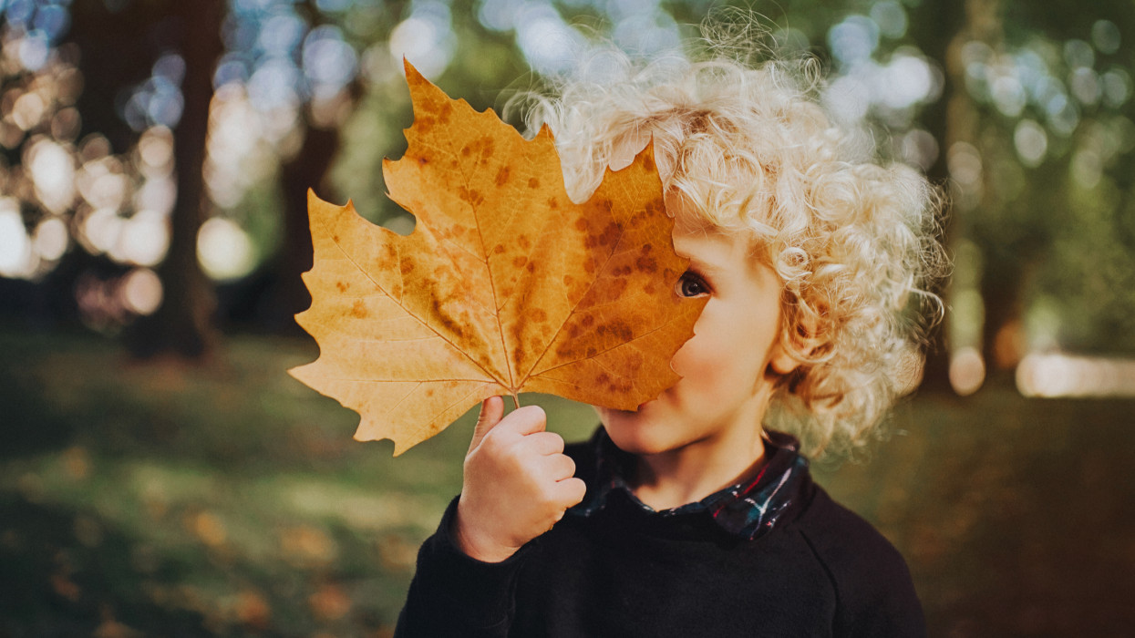 Cute young child with curly hair holding a massive leaf in front of his face, peeping around.