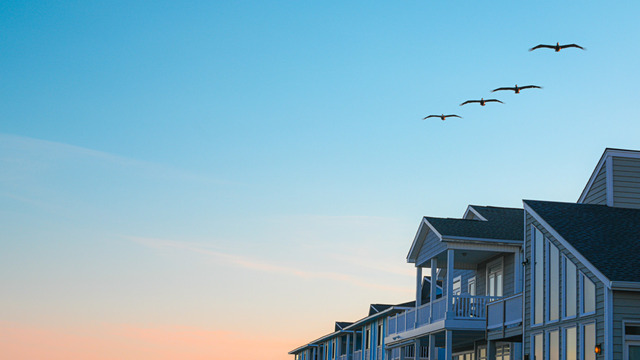 A small flock of pelicans fly over beach houses at dusk.