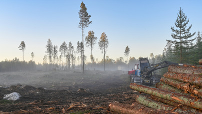 Így vágja a fát maga alatt az EU a klímaválságban: ennek könnyen lehetünk mi az áldozatai