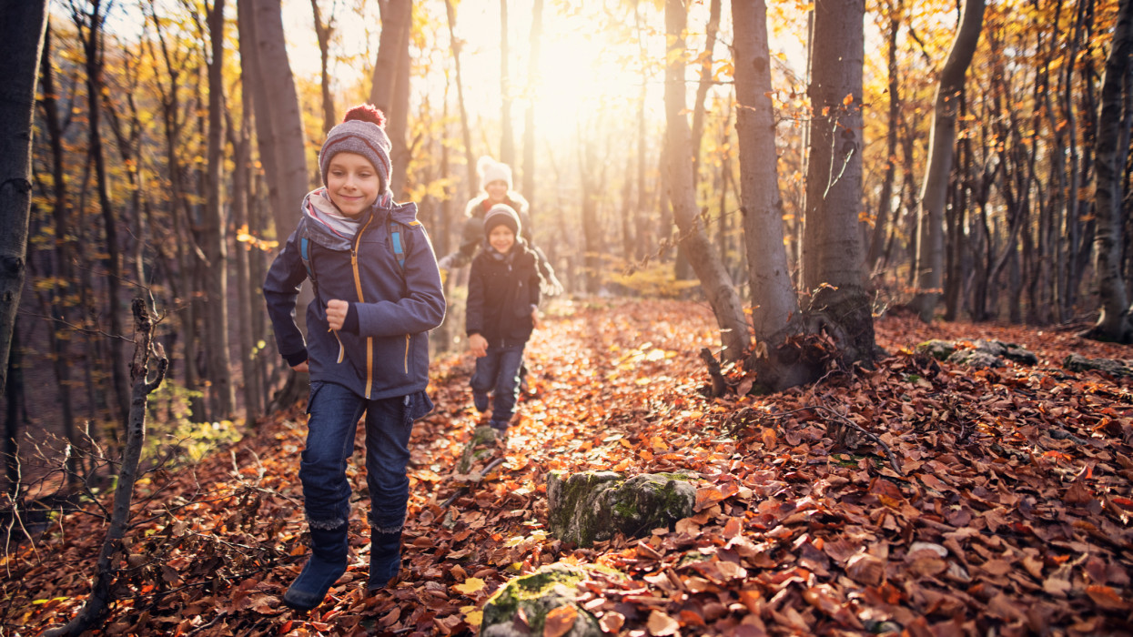 Three kids running in autumn forest. Kids are aged 8 and 11.Nikon D850