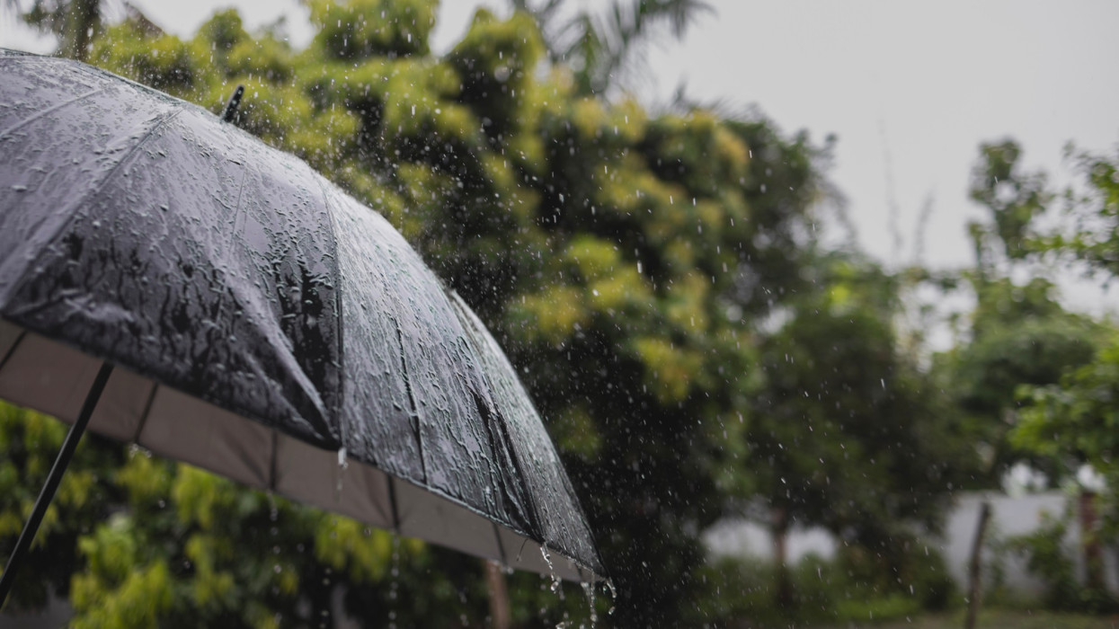 On a rainy Day umbrella under rain against green background,  Umbrella during the rainy season .