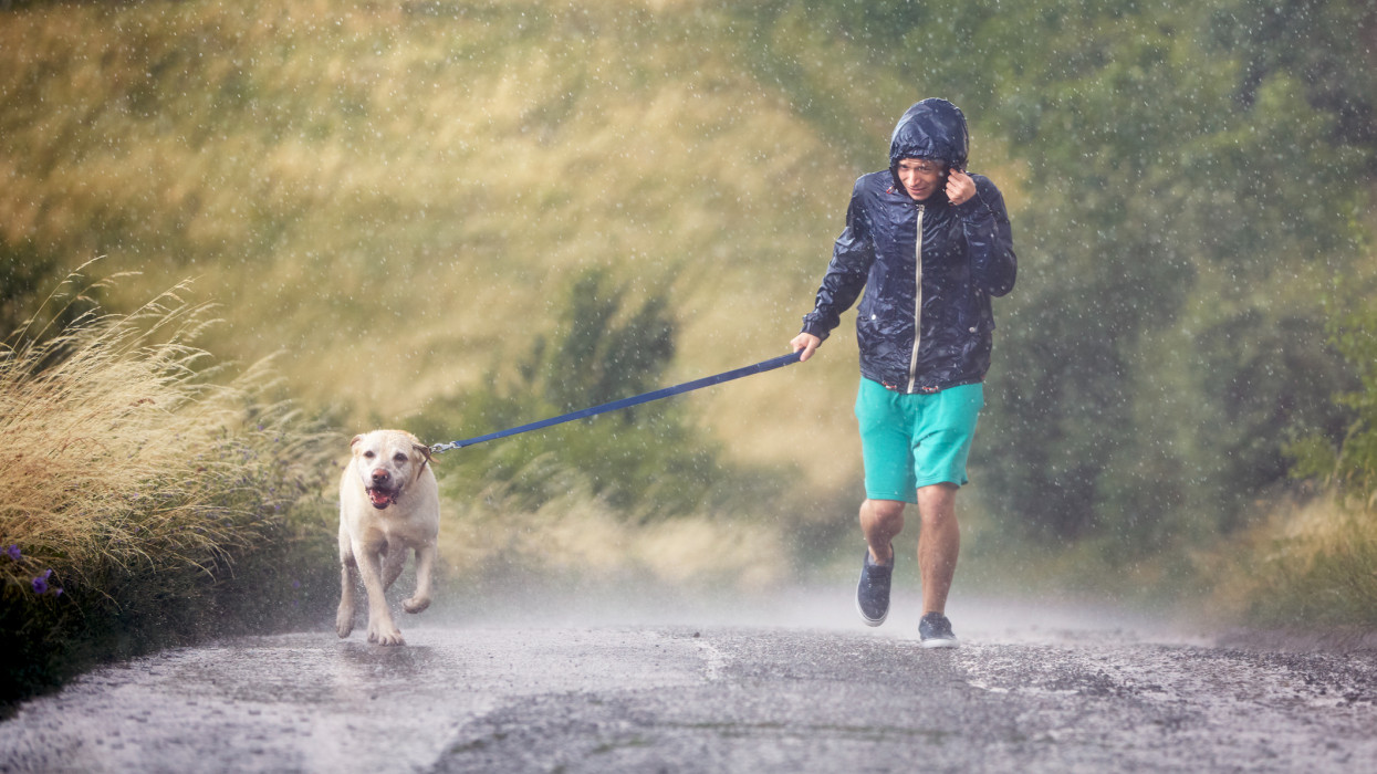 Man with dog on leash running together on wet rural road in heavy rain. Pet owner and his labrador retriver in bad weather.