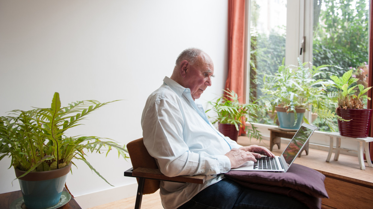 Seated by the window, surrounded by plants, a senior man is working on his laptop computer.